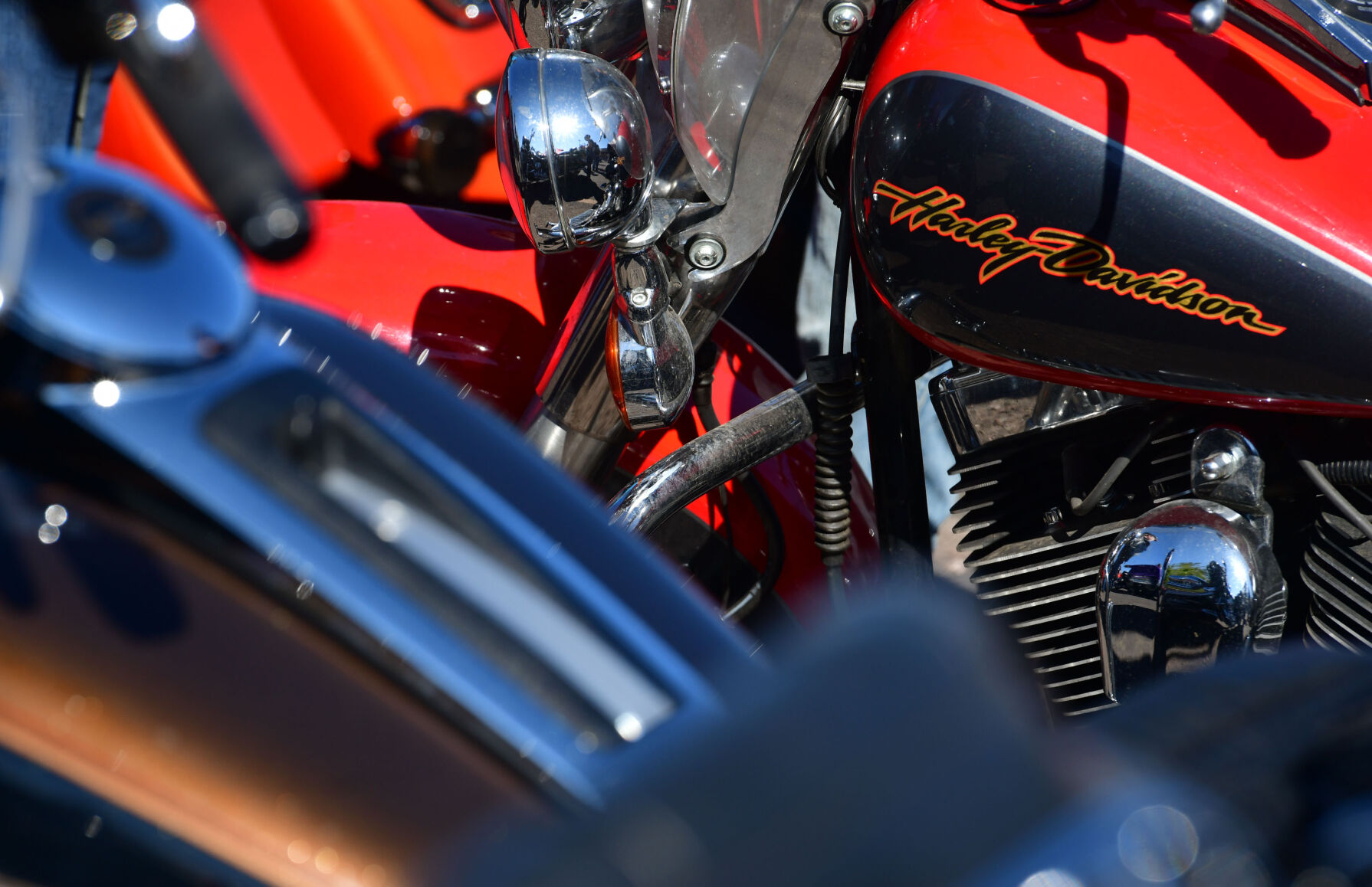 100520-news-toyrun 11.JPG